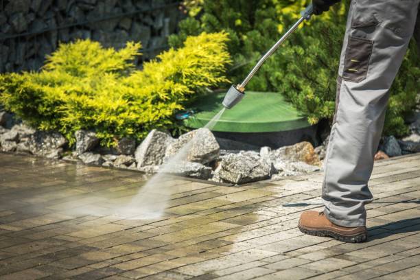 Best Post-Construction Pressure Washing  in Mayo, FL