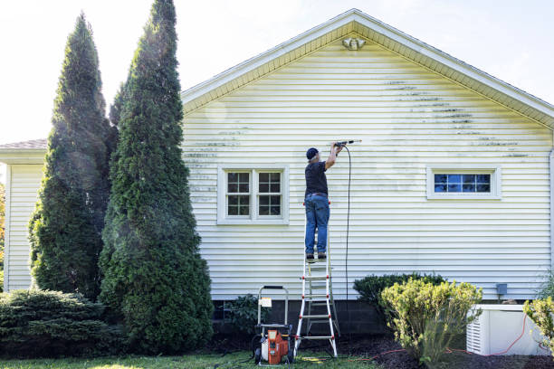 Professional Pressure Washing Services in Mayo, FL