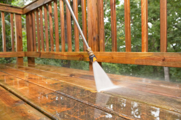 Best House Exterior Washing  in Mayo, FL